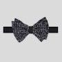 Pollack Black Bt Web