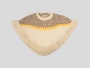 Limtex 1 Web New Ls