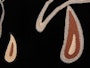 Kulikovo Detail 1