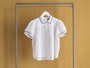 Bengal S 1 Web Ls