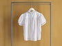 Bengal S 2 Web Ls